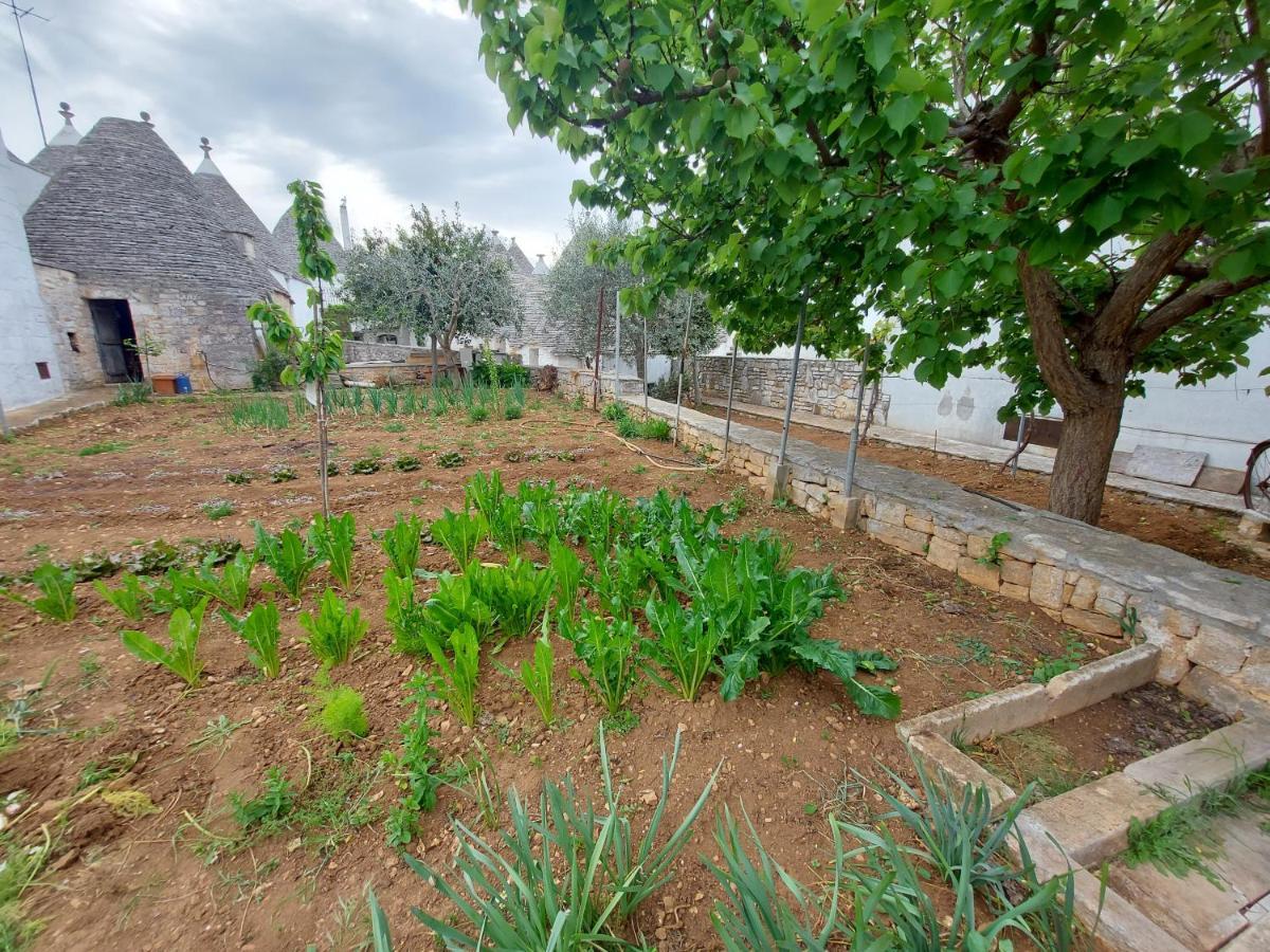 Il Trullo Di Giada E Mattia Villa Alberobello Buitenkant foto