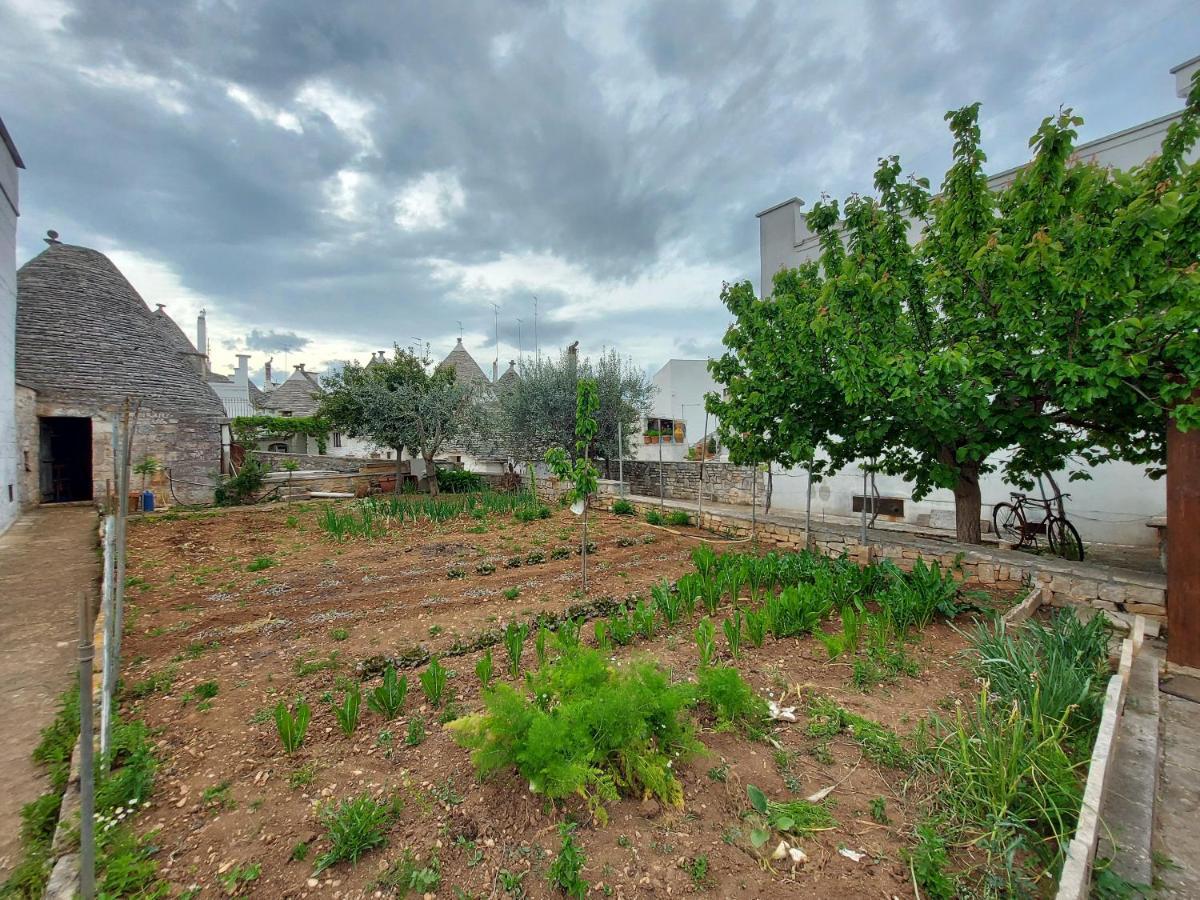 Il Trullo Di Giada E Mattia Villa Alberobello Buitenkant foto