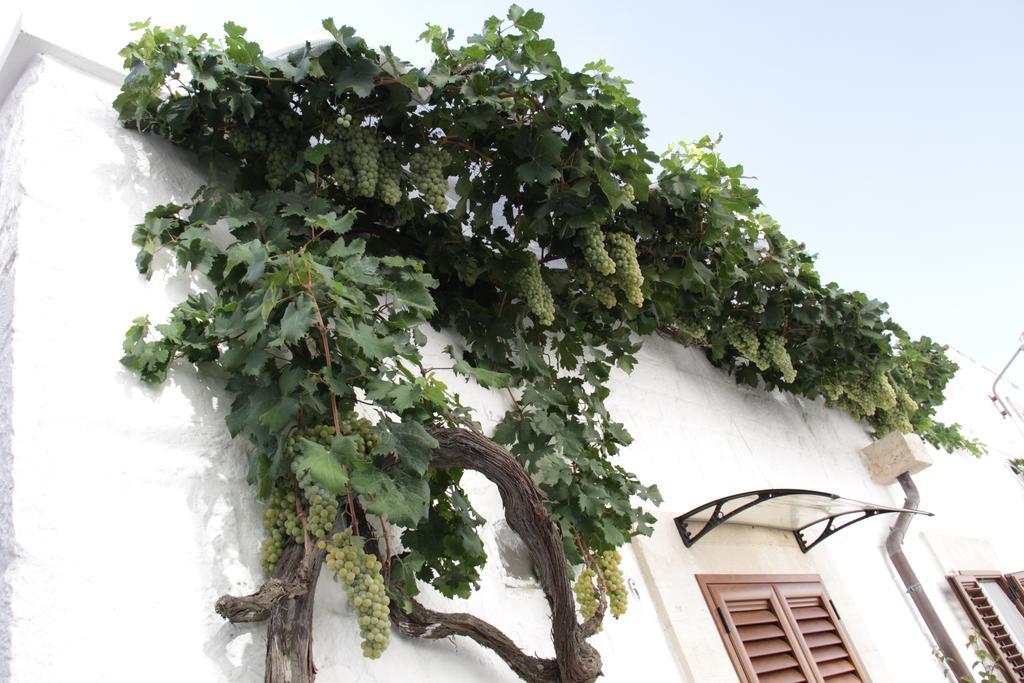 Il Trullo Di Giada E Mattia Villa Alberobello Buitenkant foto