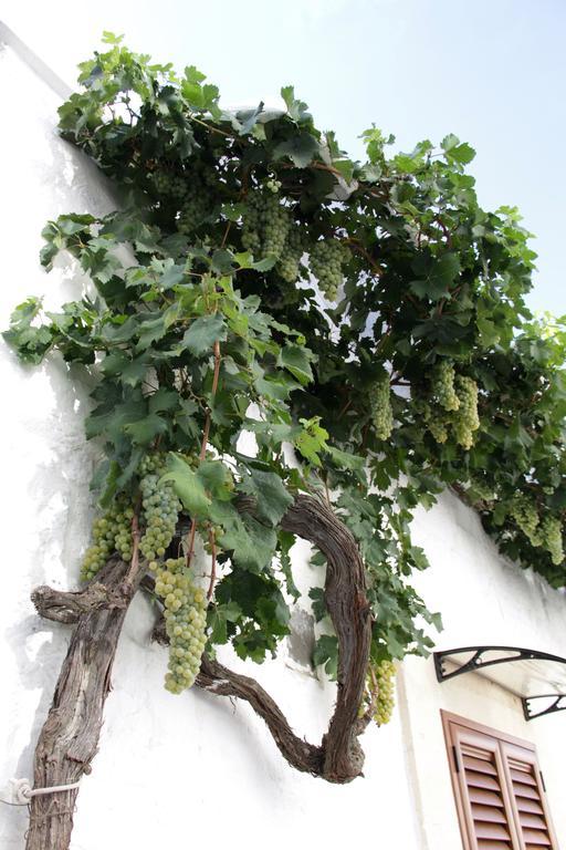 Il Trullo Di Giada E Mattia Villa Alberobello Buitenkant foto